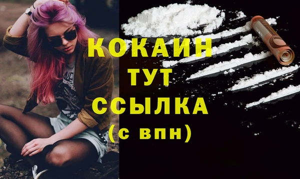 apvp Анива