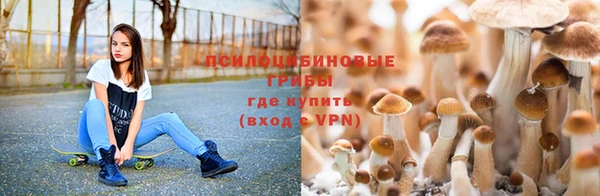 каннабис Бородино