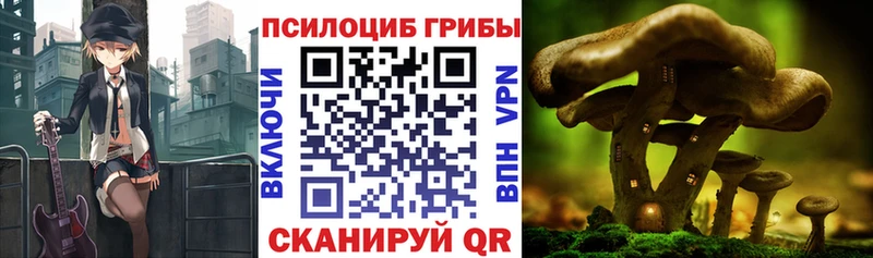 Галлюциногенные грибы мицелий  Будённовск 